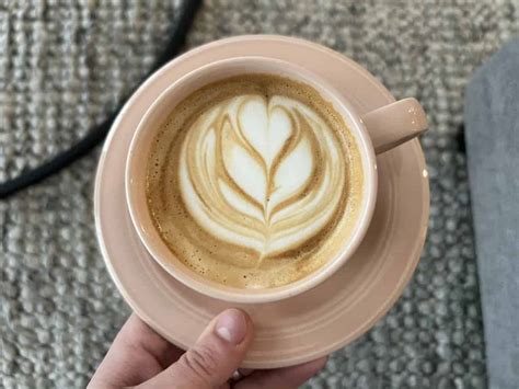 How to Froth Milk for Latte Art: A Journey into the Science of Creating Rich Texture